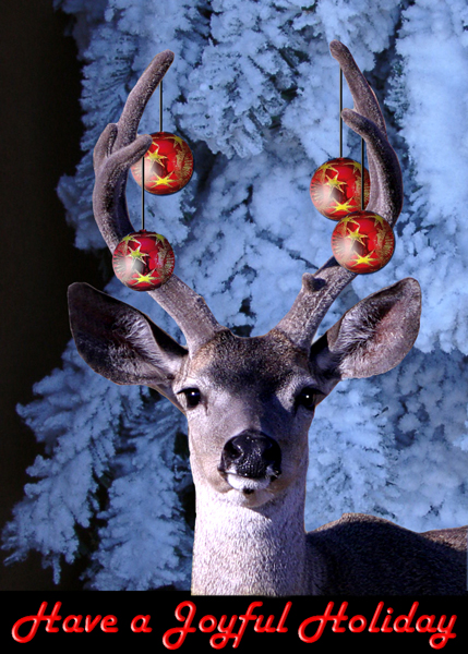 Holiday Card