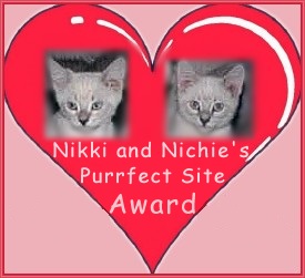nnaward.jpg