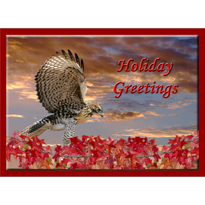 holiday card