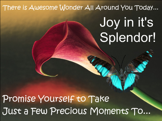 image_069