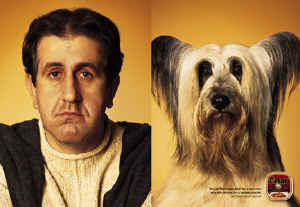 dogs