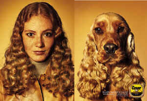 dogs