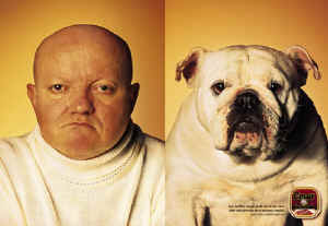 dogs