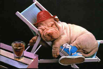 relaxed