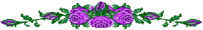 rose_border.gif