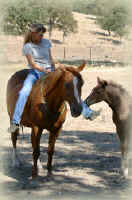 karen with horses