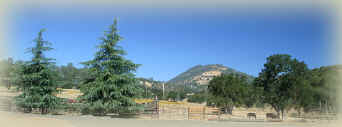 J Bar K Ranch