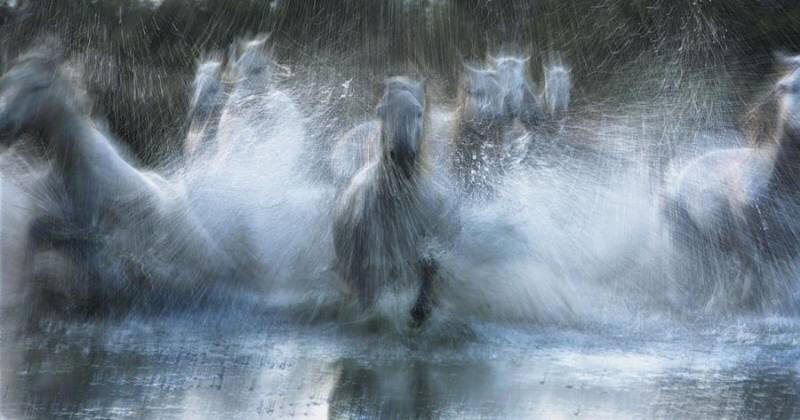 Amazing & Exceptional Photographs