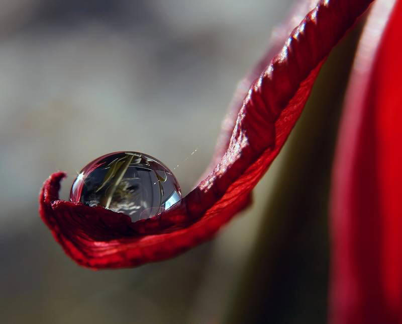 Amazing & Exceptional Photographs